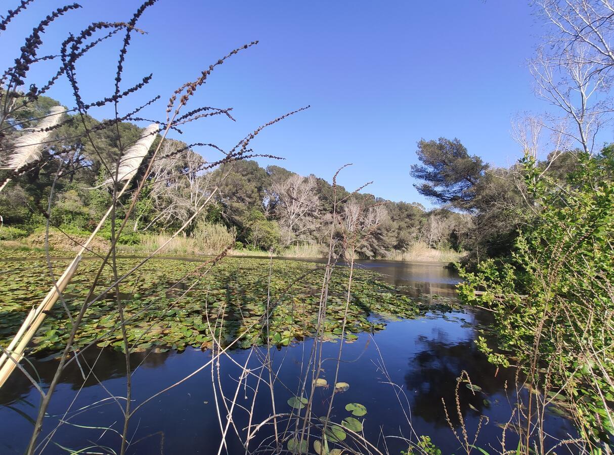 Domaine de La Coudouliere, Vue Mer, Plage, Piscine et Parc Six-Fours-les-Plages Exterior foto